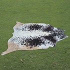 100  Real Natural Area Cow Hair On Cowhide Skin Floor Rug Carpet 67 x62   Cc1423