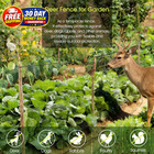 Deer Fence  Temporary Fence For Garden Outdoor Yard  4 X 50 Ft Plastic Mes