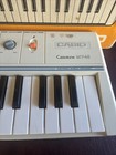Vintage Casio Casiotone Mt-45 Electronic Keyboard Piano Working Synthesizer