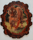 Tiger W cub Lacquered Wall Art rustic Hand Made 13  X 11  Cabin Lodge Retro