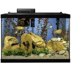 Aquarium 20 Gallon Complete Tropical Fish Tank Kit With Led Lighting And Decor