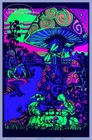 Mushroom Magic Blacklight Poster 23  X 35 
