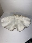 Vintage Real Natural Giant Clam Shell
