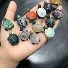 5pc Natural Mix Quartz Hand Carved Turtle Skull Crystal Reiki Healing Gem Gift