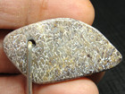 Slice - Gorgeous - Pendant - Keychain - Jewelry - M-5131 - 8 34g - Dino Bone