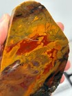 Oregon State Jasper Slab Cabbing Lapidary Carving Combo Ship Avail