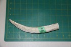 Small Upper Elk Antler Dog Chew  6   Bone Chews Moose Treats Deer 1011