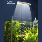 1 5 Gallon Fish Tank Starter Kits Nano Glass Aquarium W  Filter Led Light