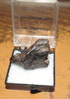 22 Gm   Canyon Diablo Iron Meteorite Aaa Grade Arizona Usa Jal