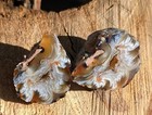 Natural Agate Geode Pair  Beautiful Polished Small Brazilian Agate Geode 39g