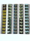 Vintage The Jungle Book 35mm Film Cells Disney Animated Cinema Movie Collectable