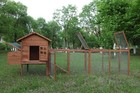 Large Chicken Coop Wooden Poultry Cage Hen House Hutch Nesting Box Chicken Run