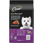 Cesar Filet Mignon Flavor Small Breed Dry Dog Food