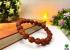Energized Wrist Rudraksha Bracelet Stretchable  5 Mukhi Natural Rudraksh  10 Mm