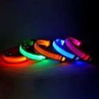 Safety Pet Dog Led Collar Night Flashing Light Up Adjustable Waterproof S-xl