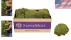 5 Lbs Preserved Sheet Moss - Natural Accent For Crafting   Gardening