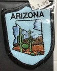 Nip Arizona Az State Outline Saguaro Cactus Souvenir Embroidered Patch Badge