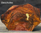 Premium Cabochon Preform Lot Sonora Sunrise Deschutes Jasper Agate Rough Slab 56