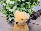 Vintage Steiff Original Teddy Bear 1960s 3 5  Mohair W button Blonde