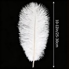 10 Pcs White Natural Ostrich Feathers Bulk 1012 Inch 2530cm Crafting Decor