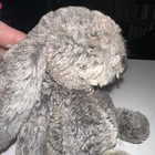 Jellycat Bashful 8  Woodland Babe Bunny Plush Stuffed Animal Grey Brown Euc