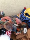 Lot Of 40 Ty  Beanie Babies Creatures Babies  2