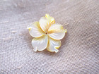 New Hand-carved Pretty Gold Mother Of Pearl Tropical Flower Button  7 8th Inch