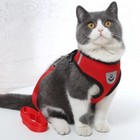 Dog Harness And Leash Set Breathable Mesh Adjustable Pet Cat Puppy Collar Vest