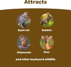 Kaytee Backyard Wildlife Food Blend For Wild Squirrels chipmunks rabbits 5 Pound