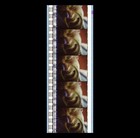 Fifth Element - Korben Cringes - 35mm 5 Cell Film Strip 001
