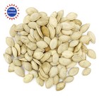 Heirloom Summer Squash Seeds Yellow Crookneck Non Gmo Open Pollinated Farmers