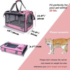 Pet Carrier For Large And Medium Cats  Soft-sided Pet Carrier For Big Medium Cat