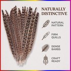 10 Pcs Long Pheasant Tail Feathers Natural Pheasant Feathers Floral Arrangement