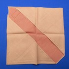 Boy Scout Woodbadge Training Neckerchief Gilwell 269b2