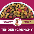 Purina Dog Chow Tender Crunchy Lamb Turkey Adult Dry Dog Food 30 Lb Bag Freeship
