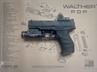 Walther Pdp 0 177    Bb Airgun By Umarex W  Red Dot And Flashlight