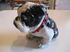 Bulldog Cement Doorstop 8  Statue Black And White With Red Collar - Excellent 