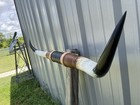 Mounted Steer Horns 4 Feet 6 Inch Longhorn Polished Mount Bull Cow