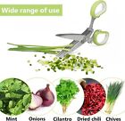 Herb Scissors Set With 5 Blades And Cover - Multipurpose Kitchen Chopping Shear