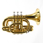 Jupiter Model Jtr710q Pocket Trumpet In Lacquer Sn Ea08919 Open Box