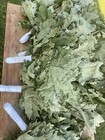 10 Oak Whisks  Banya Brooms  Whisks  Venik  Birkenreisige  Venik  Sauna