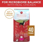 Purina One Dry Dog Food For Adult Dogs High Protein  Real Chicken   Rice  40 Lb