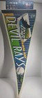 Vintage 90s Tampa Bay Devil Rays Pennant Mlb Baseball Retro Full Size New Wincra