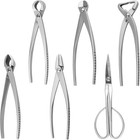 6 Pcs Bonsai Pruning Tool Set  6 Different Roles Of Scissors To Meet All The    