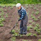 48  72  Long Handle Hoe Sturdy Blade For Digging  Weed  Hoe  Cut  Loosing Soil