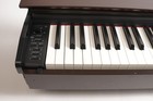 Casio Privia Px-770bn 88-key Digital Home Piano  brown 
