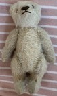Vintage White 5    Steiff Mohair Teddy Bear