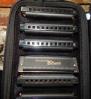 Hohner Piedmont Blues Harmonica Complete 7-piece Set With Case