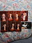 Elvis 16 Photo Set-last Concert-1977 Indianapolis W  Stub    Free Cd 