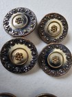 Antique Brass    Tortoise Style Large Picture Buttons Metal Shank 8 Pc 